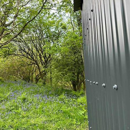 Cornwall Woodland Shepherd'S Hut - Dennis Hut Bodmin Εξωτερικό φωτογραφία