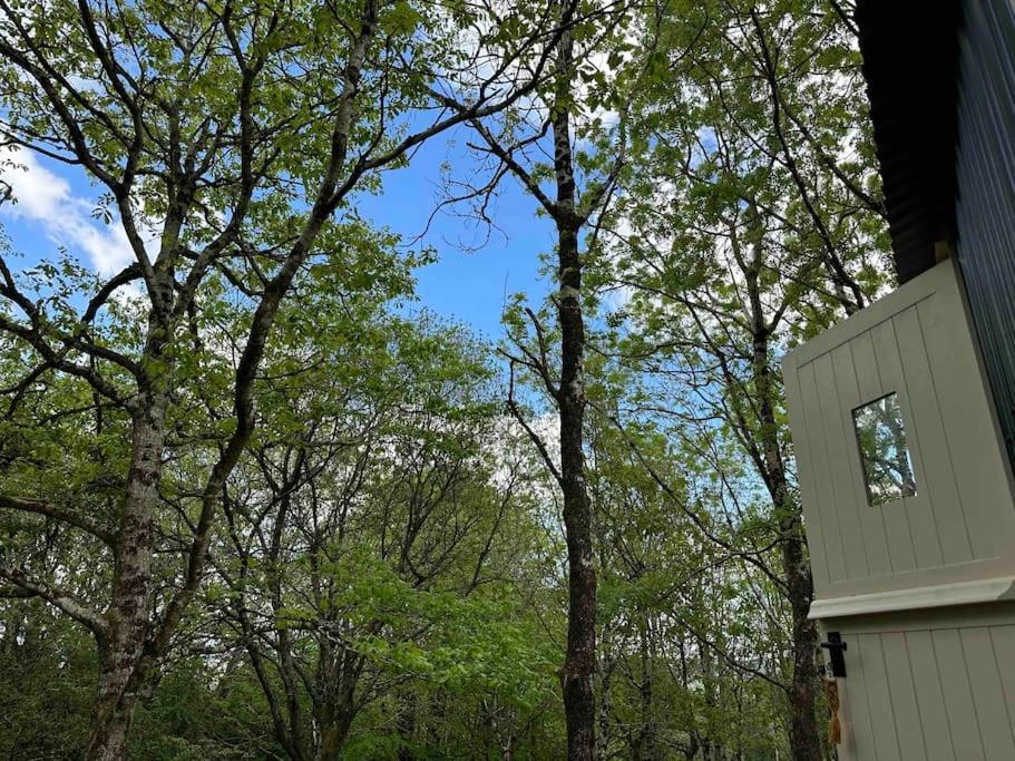 Cornwall Woodland Shepherd'S Hut - Dennis Hut Bodmin Εξωτερικό φωτογραφία