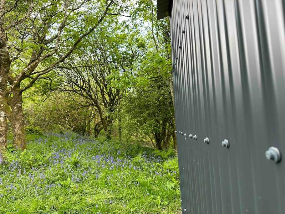 Cornwall Woodland Shepherd'S Hut - Dennis Hut Bodmin Εξωτερικό φωτογραφία