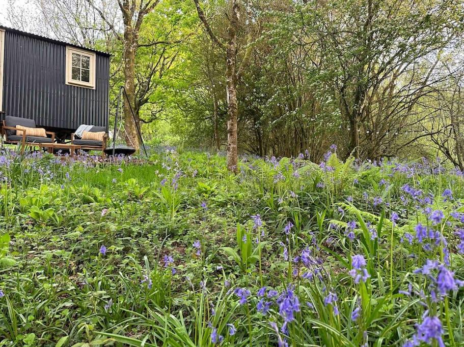 Cornwall Woodland Shepherd'S Hut - Dennis Hut Bodmin Εξωτερικό φωτογραφία