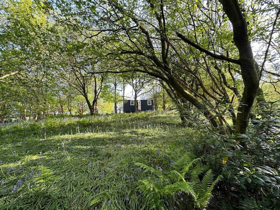 Cornwall Woodland Shepherd'S Hut - Dennis Hut Bodmin Εξωτερικό φωτογραφία